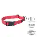 Collar Ajustable Mylu Rojo Talla M 5RX Totto