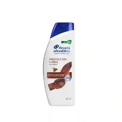 Head Shoulders Shampoo Proteccion Caida Con Cafeina