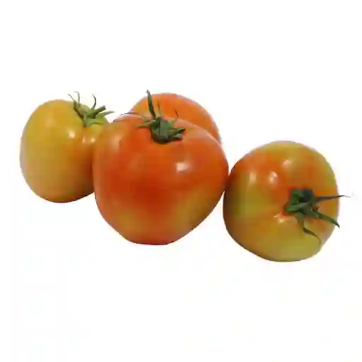 Tomate Chonto