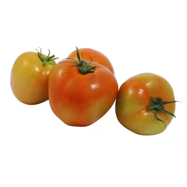 Tomate Chonto