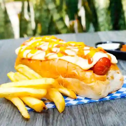 Perro Americano