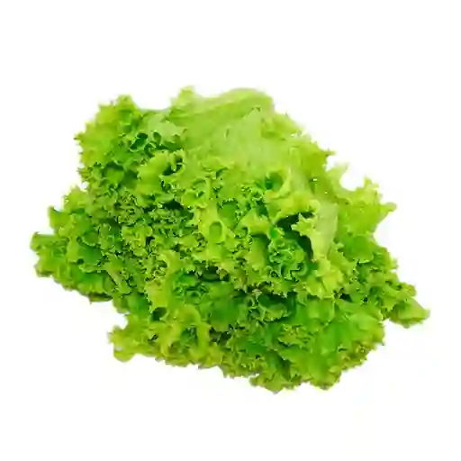 Lechuga