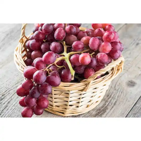 Red Globe Member'S Selection Uva