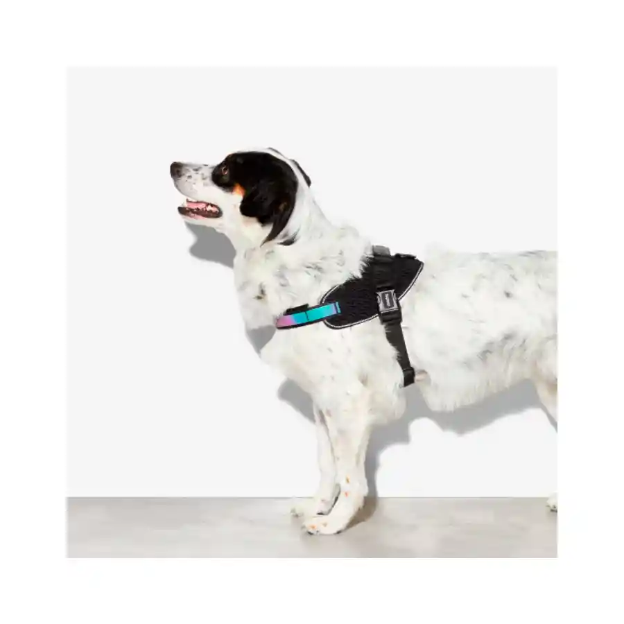 Zeedog Arnés Gotham Flyharness Talla 4