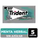 Chicle Trident Sin Azúcar Sabor Fresh Herbal 5 Unid