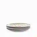 Set Plato Principal Pesca Del Dia 27 cm Ambiente Gourmet