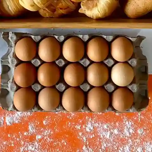 Medio Carton de Huevos X15