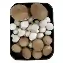 Champiñones Mixtura