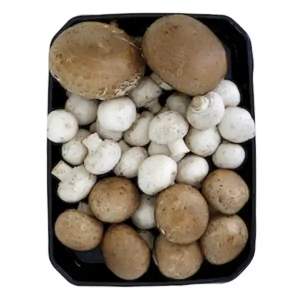 Champiñones Mixtura