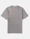 Camiseta Hombre Gris Talla Small American Eagle 01813758