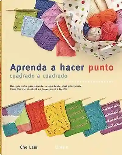 Aprenda Hacer Punto Cuadrado a Cuadrado - Lam Che