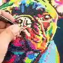 Toy Logic Cuadro de Arte Diamantiny Perro Bulldog Frances