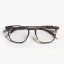 Barner Gafas Reading Dalston Carey + 2.00