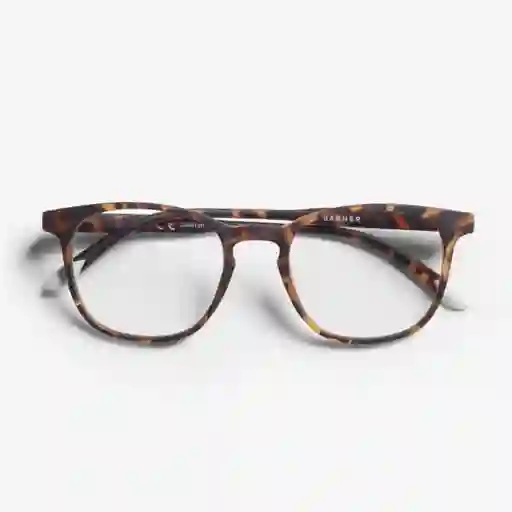 Barner Gafas Reading Dalston Carey + 2.00