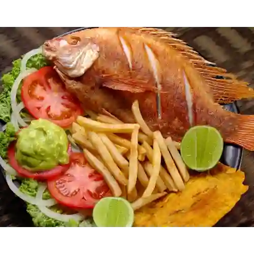 Mojarra Frita