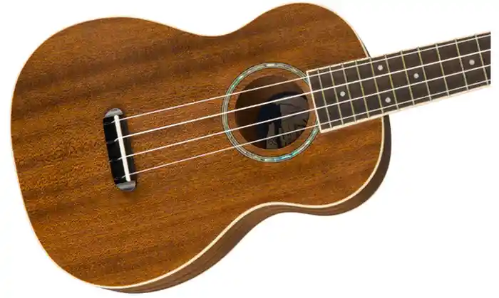 Fender Ukulele Zuma Concert Wf Nat 0971630022