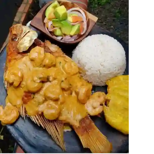 Mojarra en Salsa de Camarones