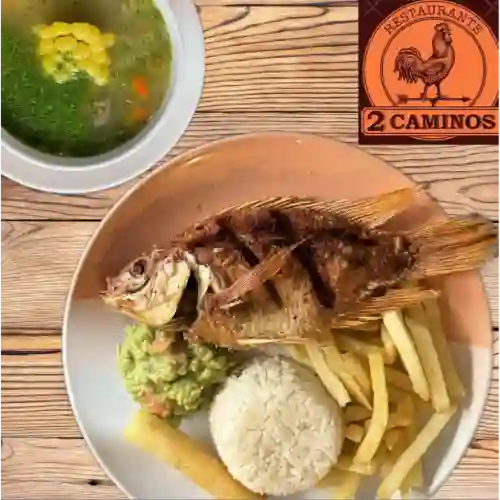 Mini - Mojarra