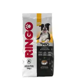 Ringo Alimento Para Perro Pro Adultos