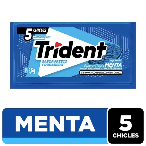 Trident Chicle Sin Azúcar Menta 9 g