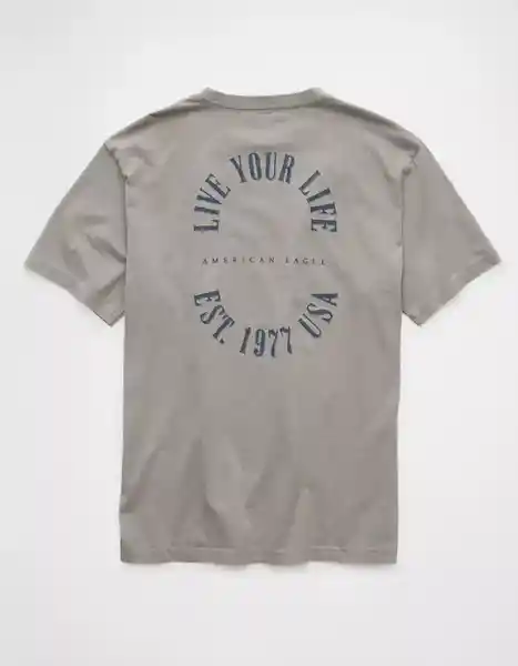 Camiseta Hombre Gris Talla: LARGE 4230020 American Eagle