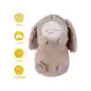 Peluche Lamb Baa Con Disfraz de Conejito 10In Mini Family Miniso