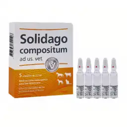 Solidago Compositum 5 Ampollas X 5.0 mL