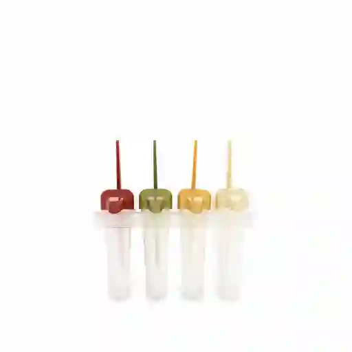 Molde Para Paletas Ambiente Gourmet