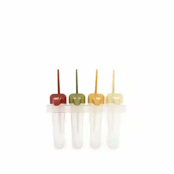 Molde Para Paletas Ambiente Gourmet