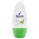 Rexona Desodorante Bamboo Rollon