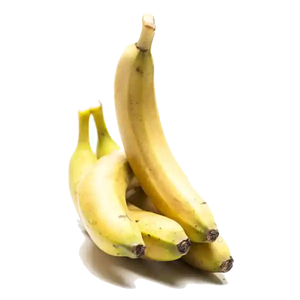 Banano Criollo