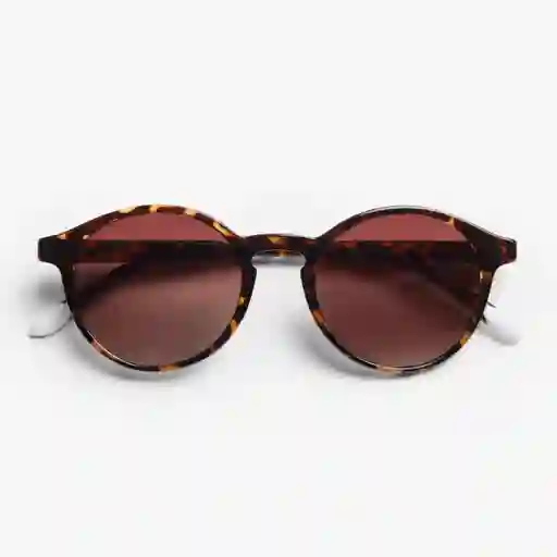 Barner Gafas Sun Marais Carey