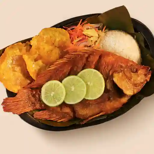 Tilapia frita