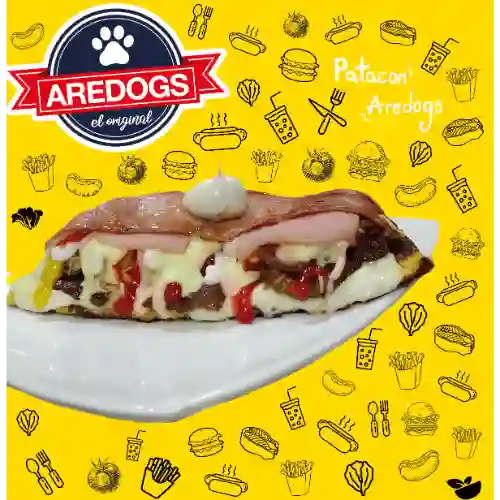 Patacon Aredogs