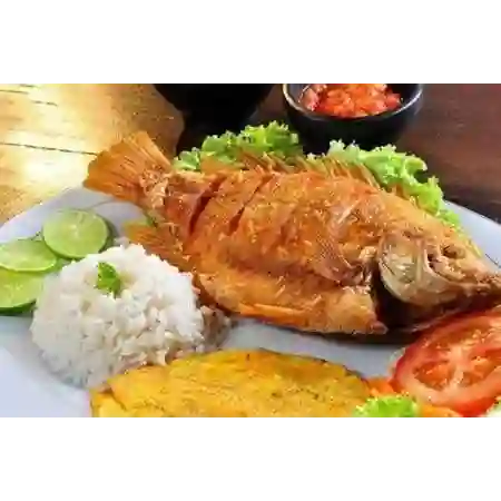 Mojarra Frita