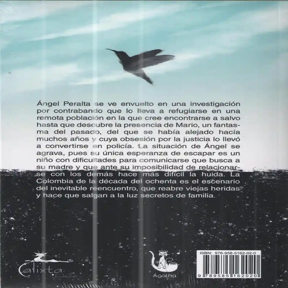 Libro Piedras en el Cielo