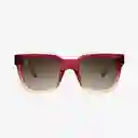 Knockaround Gafas Songbirds Rojo