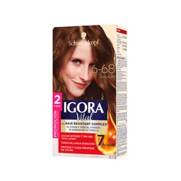 Igora Tinte Vital Chocolate 6-68 100 mL