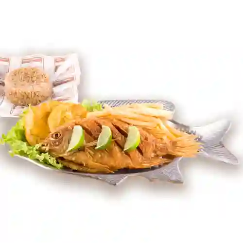 Mojarra Frita