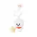 Llavero Luminoso Led  Baby rj Serie Bt21 Miniso
