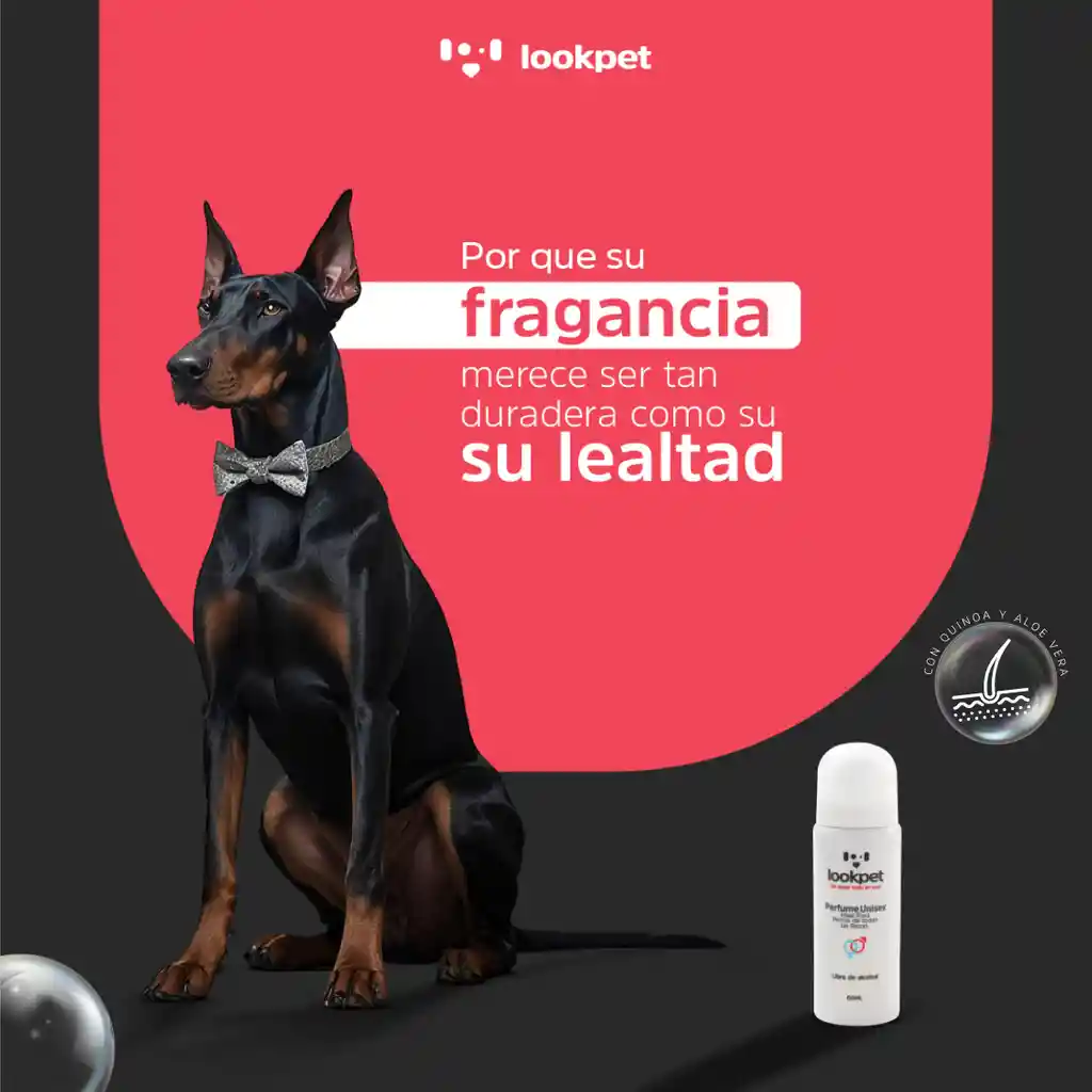 Lookpet Perfume Unisex 6 En 1 - 60ml
