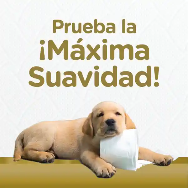 Papel Higiénico Scott Premium Comfort Triple Hoja Rollos 4 Und