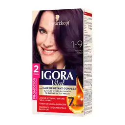 Igora Vital Tinte Permanente Dt Negro Vino 1-9