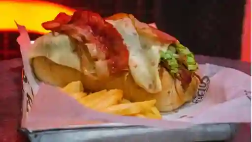 Perro Mixto Especial