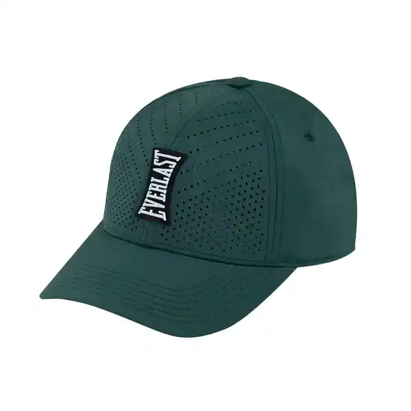 Gorra Republic Olive Everlast