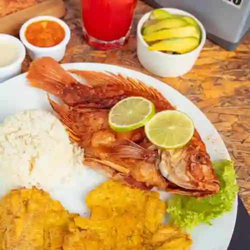 Mojarra Frita