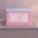 Organizador Plegable Con Puerta Lateral Cooky Serie Bt21 Miniso