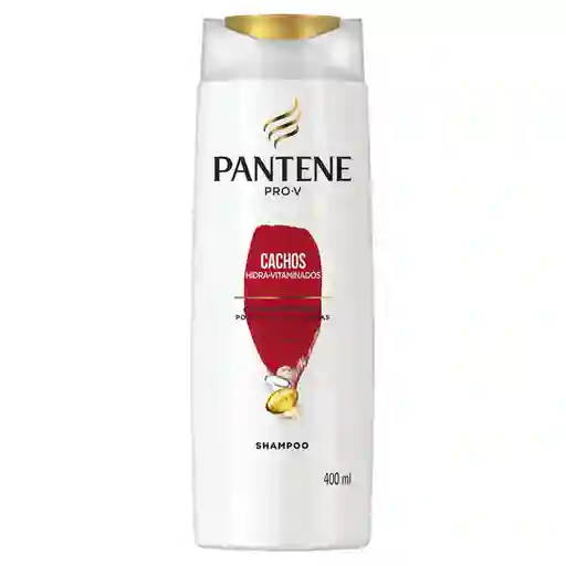PANTENE Shampoo para cabello dañado Pantene Rizos Definidos con Pro-Vitaminas Aceite de Coco y Omega 9 400 ml