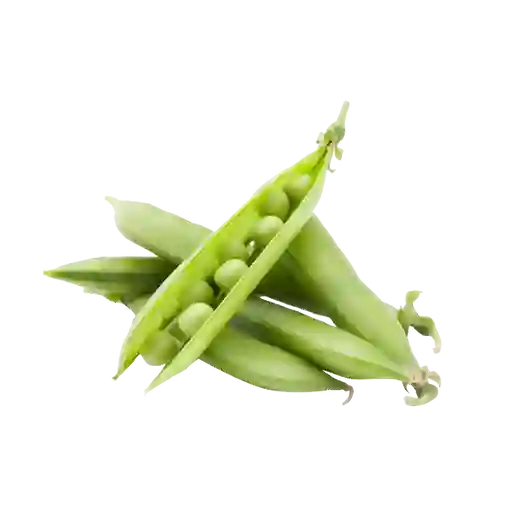 Arveja Concha