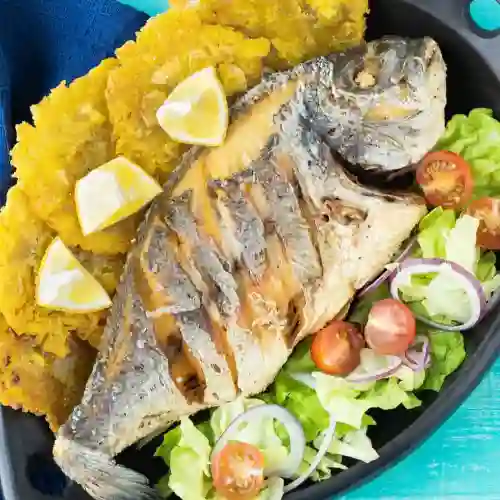Jurel Frito